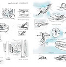 Swimitation storyboard